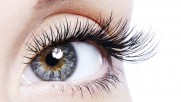 Eyelash Extensions in Tampa, FL