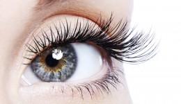 Eyelash Extensions in Tampa, FL
